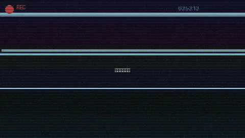 周末随拍记录 - 91吃瓜 原创视频